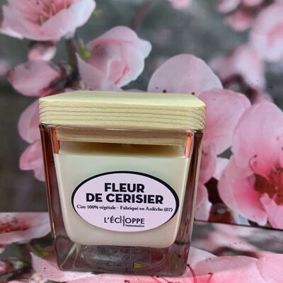 SCENTED CANDLE CHERRY BLOSSOM 8X8 100% VEGETABLE WAX SOYA