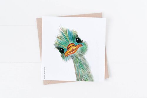 Cute card, funny card, ostrich, greeting card , SKU022