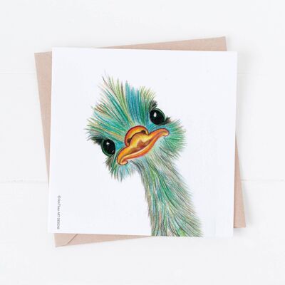 Cute card, funny card, ostrich, greeting card , SKU022