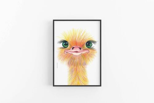 Ostrich Wall art print , SKU081