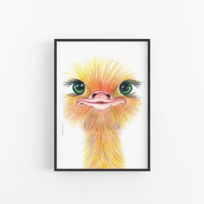 Ostrich Wall art print , SKU081