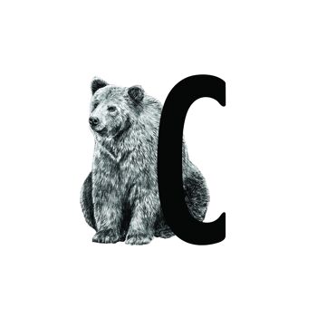Tableau à lettres C avec ours 5