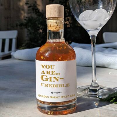 You Are Gin-Credible Gins aromatisés 200 ml