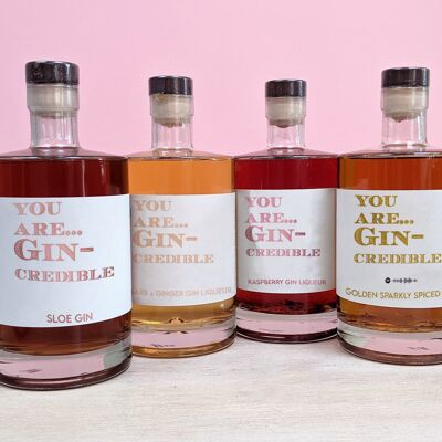 You Are Gin-Credible Flavoured Gins 500ml