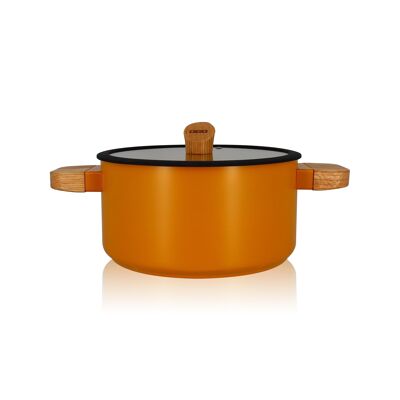 Ector Dutch Oven 24 cm aus gelbem Aluminium mit Holzgriff