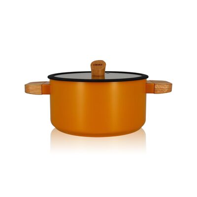 ector 24cm stewpot in yellow ceramic coated aluminum with wooden handle