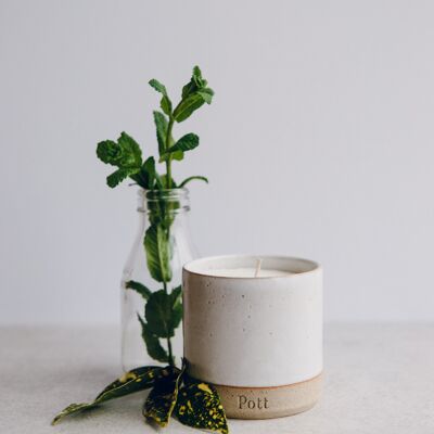 Wild Mint Candle (limited edition) - The Speckle