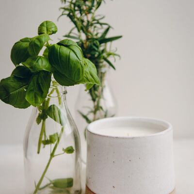 Basil Candle - The Matte