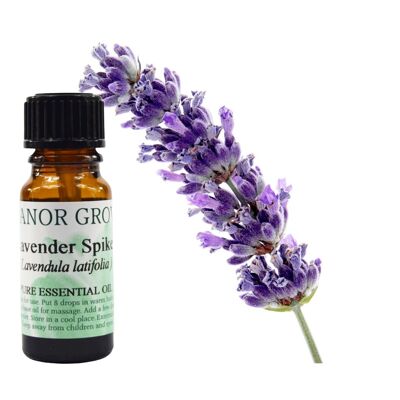 Lavender Spike - 10 ml