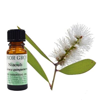 Niaouli - 10 ml