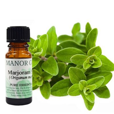 Marjoram - 10 ml