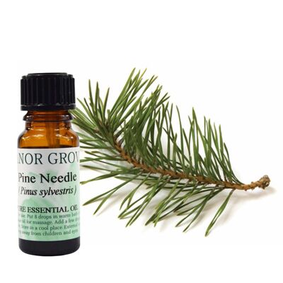 Pine Needle - 10 ml