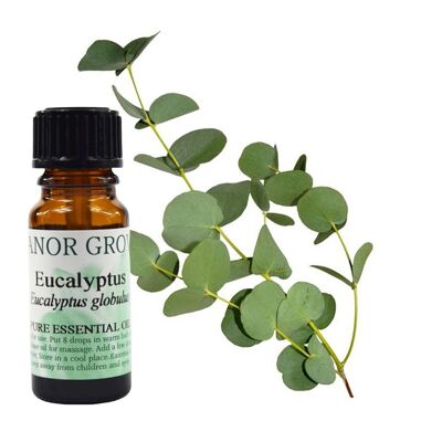 Eucalyptus - 25 ml