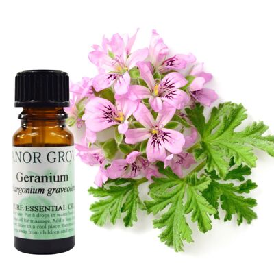 Geranium - 10 ml