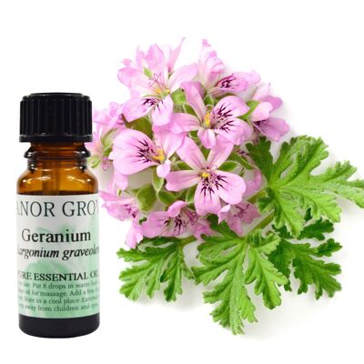 Geranium - 25 ml