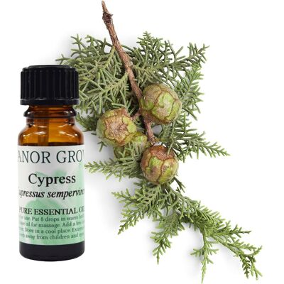 Cypress - 10 ml