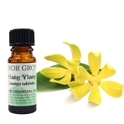 Ylang Ylang - 10 ml