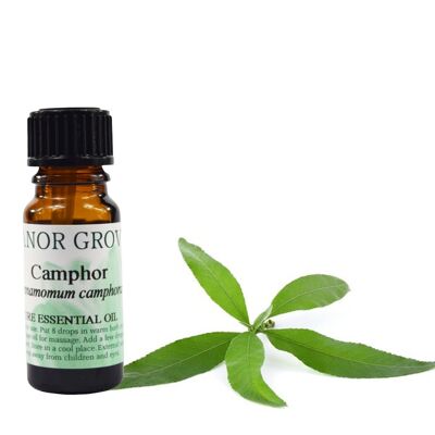 Camphor - 10 ml