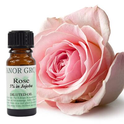 Rose - 10 ml - 5% Dilution in Jojoba