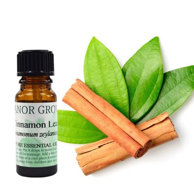 Cinnamon Leaf - 10 ml