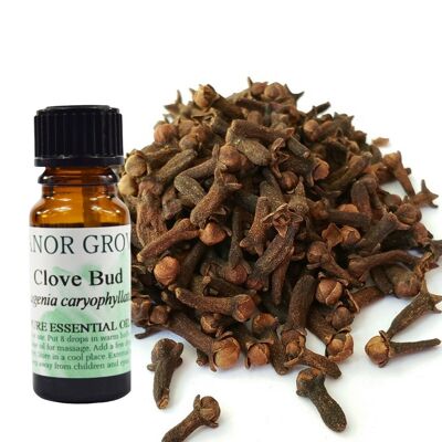 Clove Bud - 10 ml