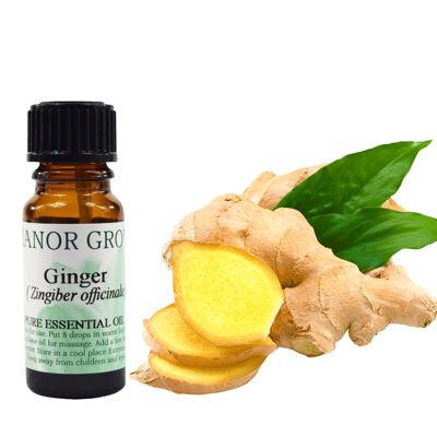 Ginger - 10 ml