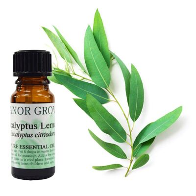Eucalyptus Lemon - 10 ml