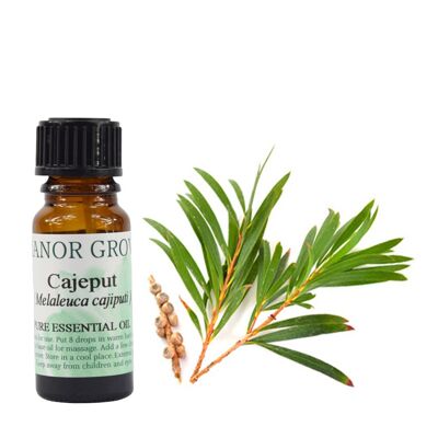 Cajeput - 25 ml