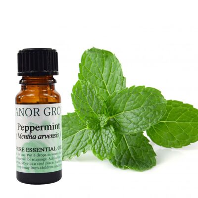 Peppermint – Mentha Piprita - 25ml