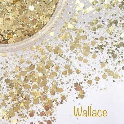 WALLACE - Gold - 10g Cosmetic Glitter