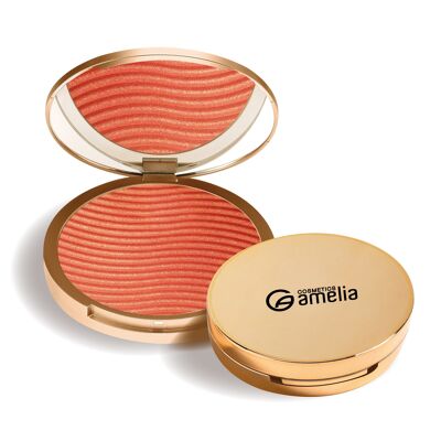 Peach powder blush with a hint of shimmer Success