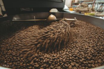 COCCOLOSA Mélange riche et doux, 250g de grains de café torréfiés 5