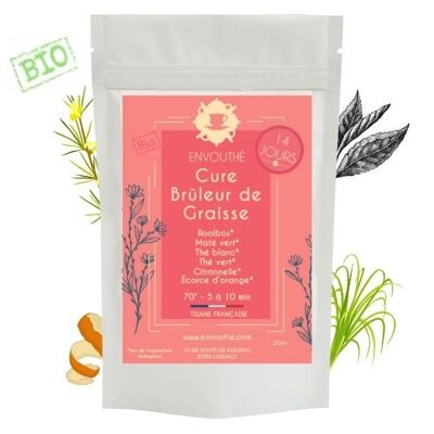 Cure Tisane/Thé "Bruleur de Graisse" 14 Jours Bio