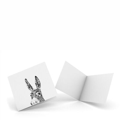 Donkey - Pack of 4 Notecards