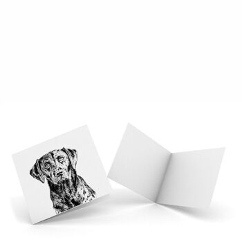 Labrador - Pack de 4 cartes de correspondance