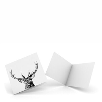 Ciervo majestuoso - Paquete de 4 tarjetas de notas