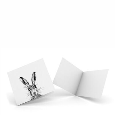 Sassy Hare - Confezione da 4 Notecard
