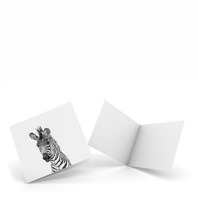Zebra - Packung mit 4 Grußkarten
