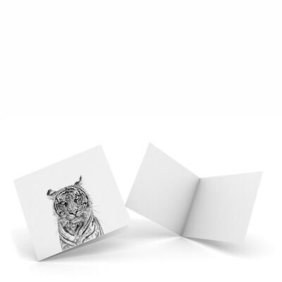 Tiger - Packung mit 4 Notizkarten