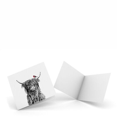 Crafty Coo & Robin - Paquete de 4 tarjetas de notas