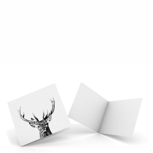 Majestic Stag & Robin - Pack of 4 Notecards