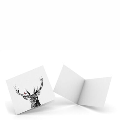 Majestic Stag & Robin - Pack de 4 cartes de correspondance