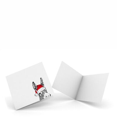 Burro de Navidad - Pack de 4 Notecards
