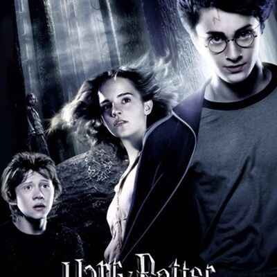 Poster PVC 3D Harry Potter Fan Art trio/chateau