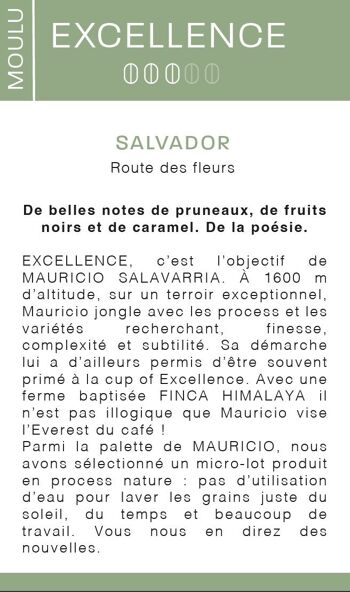 Excellence café du Salvador  MOULU 2