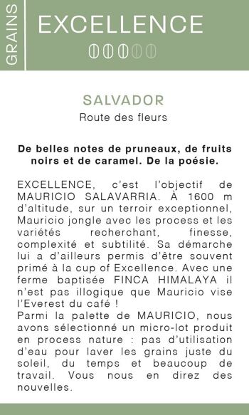 Excellence café du Salvador  EN GRAIN 2