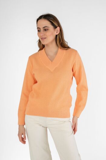 Pull col V en coton bio 1