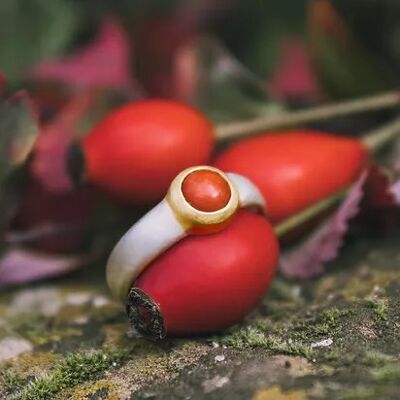 Coral Ring - Wide Shank