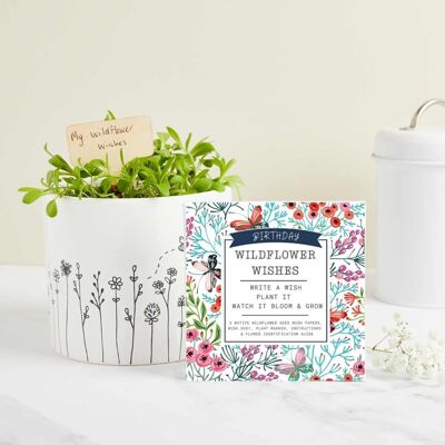 Birthday Wildflower Wishes - Seed Paper Growable Eco Gift