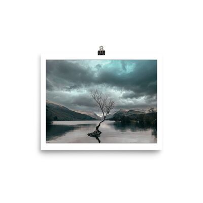 A Famous Tree 10x8in